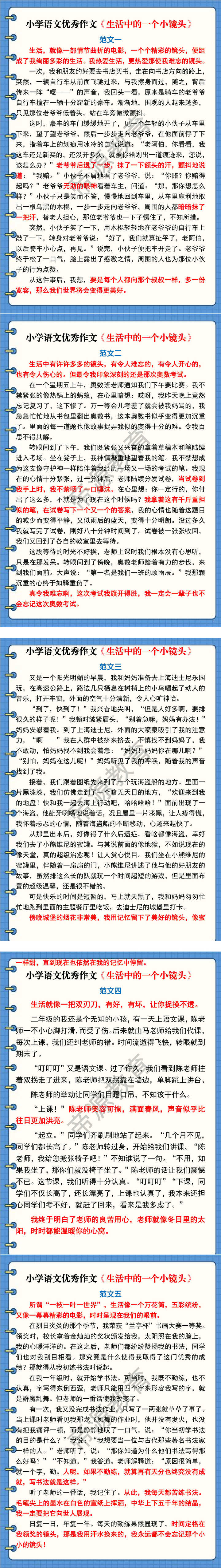 小学语文优秀作文《生活中的一个小镜头》