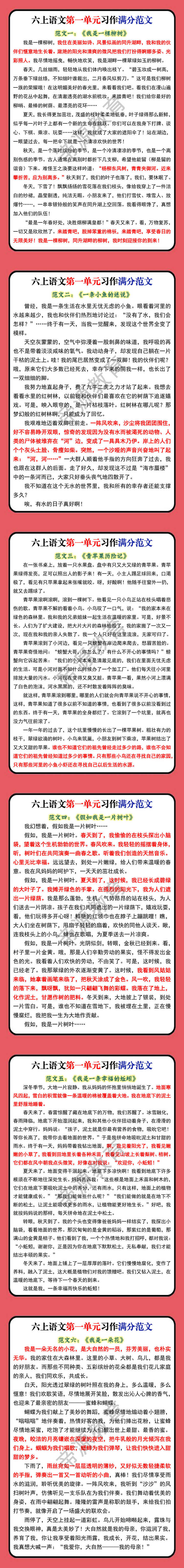 六上语文第一单元习作满分范文
