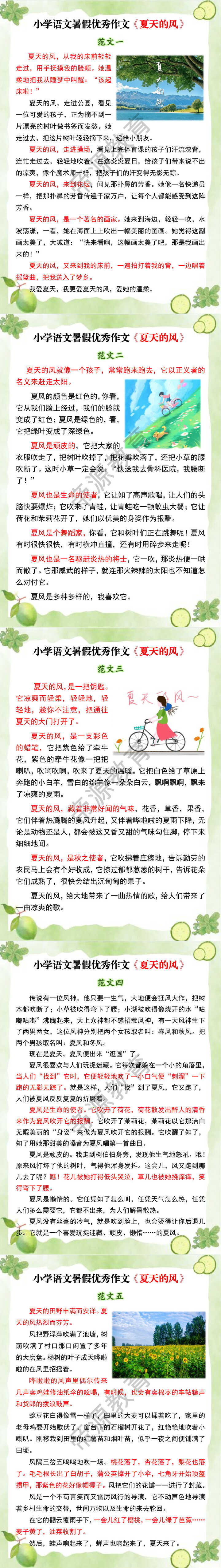 小学语文暑假优秀作文《夏天的风》