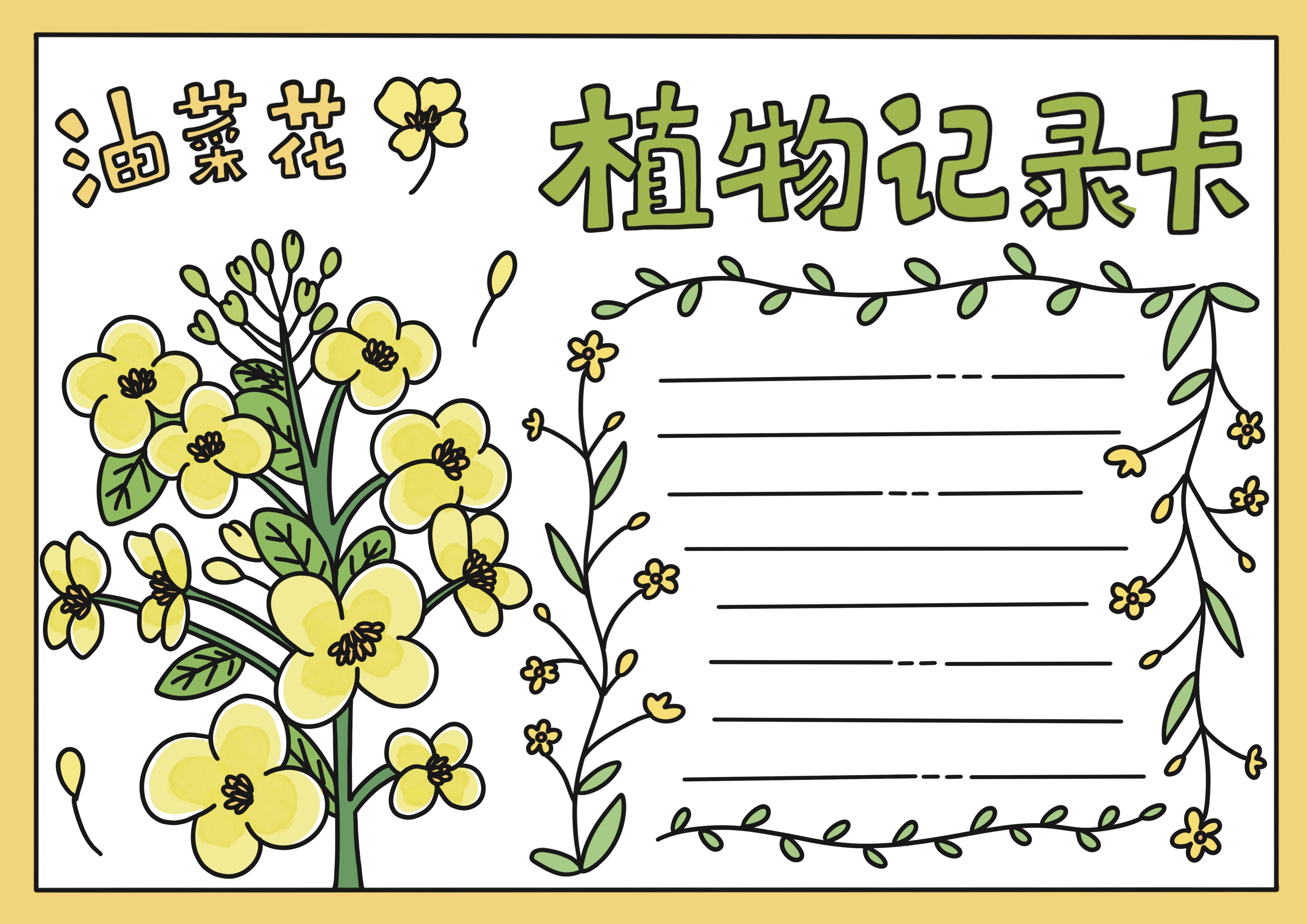 油菜花主题植物记录卡