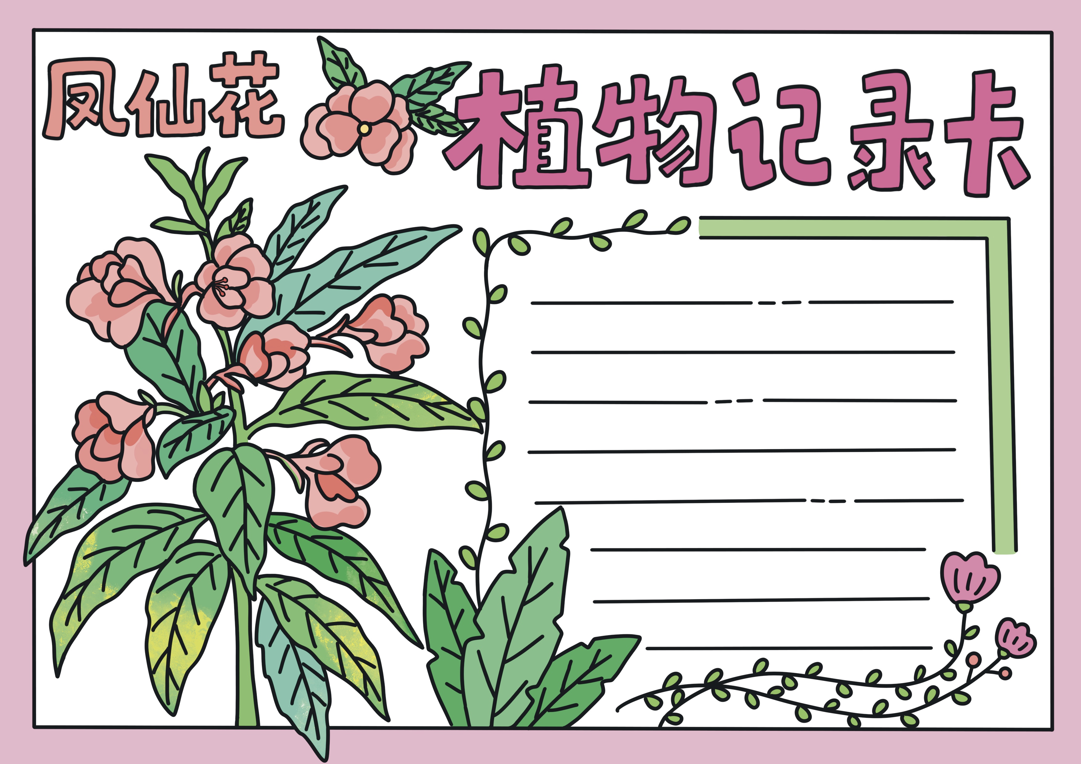 凤仙花植物记录卡主题手抄报