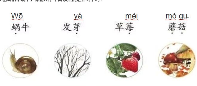 小蜗牛.jpg